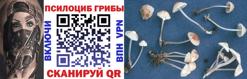 гидра ONION  Ржев  Галлюциногенные грибы GOLDEN TEACHER 